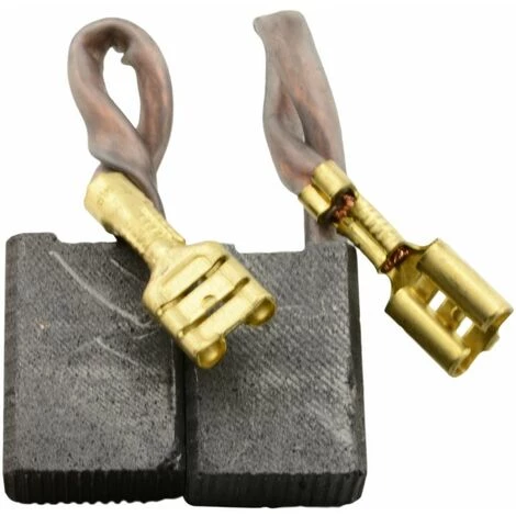 Balais De Charbon Pour AEG WS24-230 E GVX - 8x14x20mm 3 Balais De Charbon Pour AEG WS24-230 E GVX - 8x14x20mm